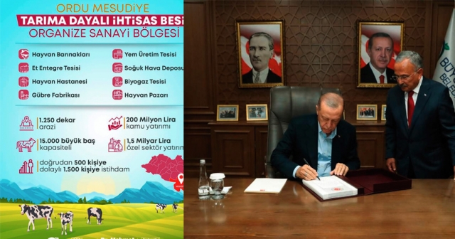 ORDU'YA DEV PROJE