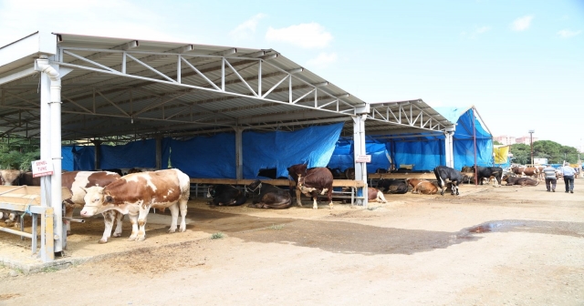 VETERİNER HEKİMLERİN KONTROLÜNDE KURBAN KESİLECEK