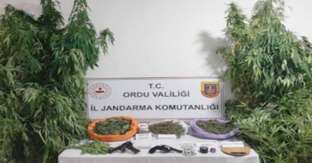 20 İLDE ‘MÜSİLAJ-2 OPERASYONU’