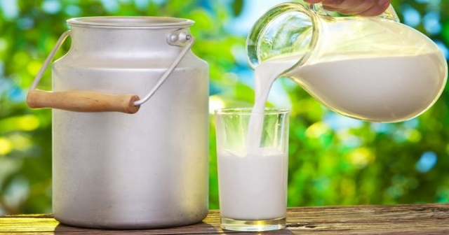 2023'te 21,5 milyon ton çiğ süt üretildi