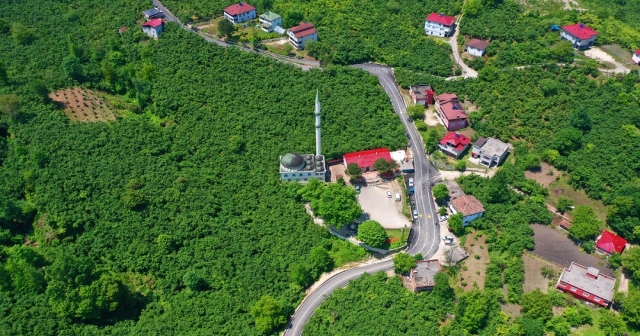 BU YOLU 50 YIL BEKLEDİLER