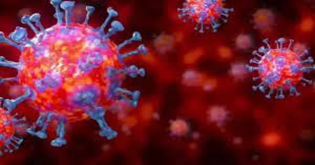 Çin'de Yeni Mutant Koronavirüs Yaratıldı