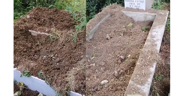 DOMUZLAR MEZARLIKTA