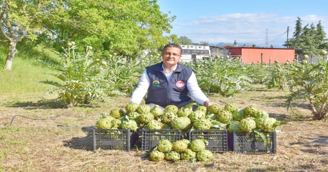 ENGİNAR ORDU’YU SEVDİ