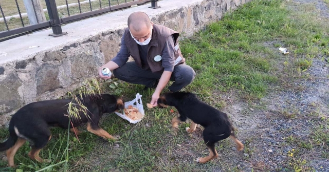 ESNAF’DAN SOKAK CANLARINA DESTEK