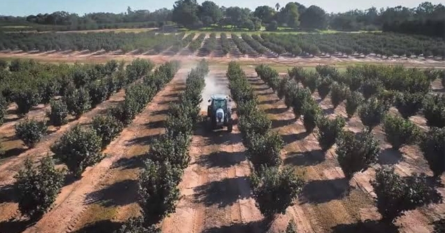 FERRERO FINDIK BAHÇESİ PLANINDAN VAZGEÇTİ