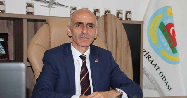 FINDIK 100 TL OLMALI