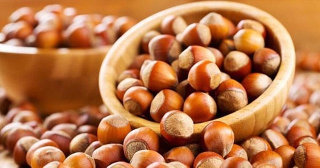 FINDIK 100 TL’YE KOŞUYOR