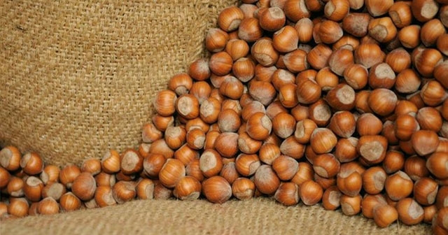 FINDIK FİYATLARINDA SON DURUM