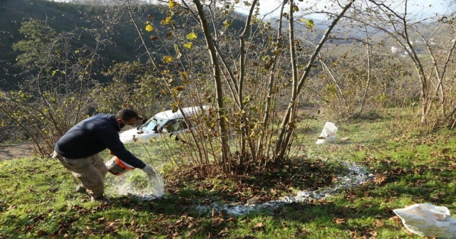 FINDIK VERİMLİLİĞİ (FINVER) PROJESİNDE BÜYÜK BAŞARI
