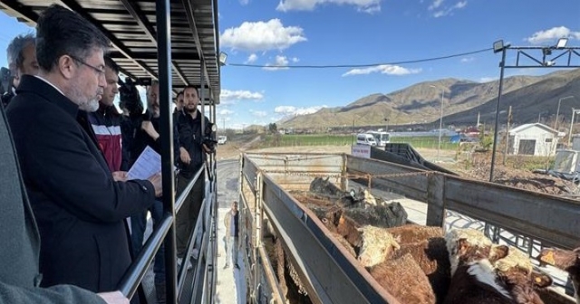 Hayvanlardan Bulaşacak Hastalıklara Önlem