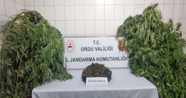 JANDARMADAN OPERASYON