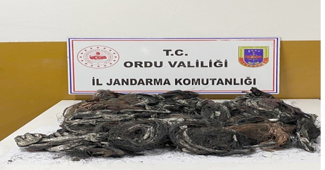 KABLO HIRSIZLARI TUTUKLANDI