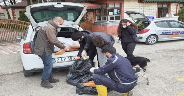 MUHTAR’DAN SOKAK CANLARINA DESTEK