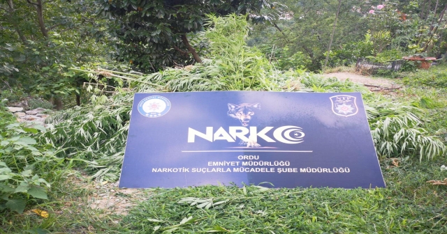 NARKOTİK EKİPLERDEN OPERASYON…