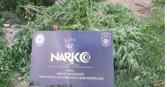 Narkotik ekipleri göz açtırmıyor!