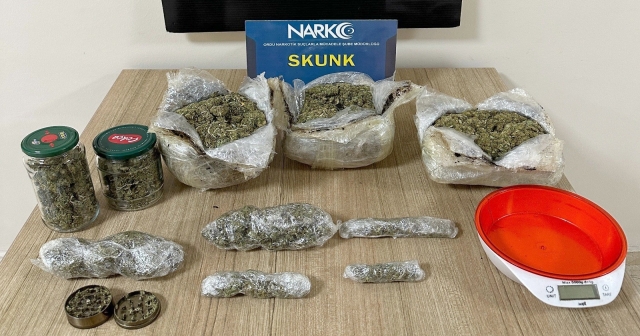 Narkotik Ekipleri İş Başında