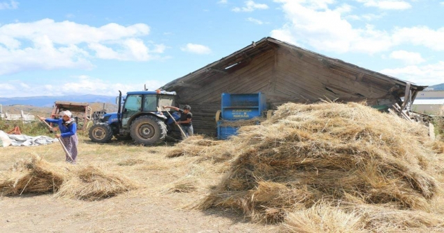 ORDU’DA 21 BİN 250 DÖNÜM ATIL ARAZİ ÜRETİMDE