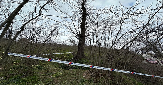 Ordu’da Ağaçtan Düşen Kişi Öldü