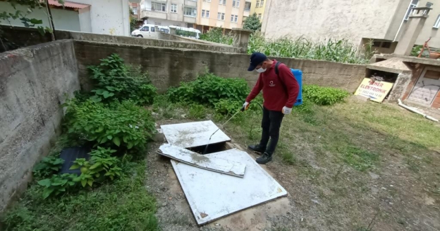 ORDU’DA VEKTÖRLE MÜCADELE SÜRÜYOR