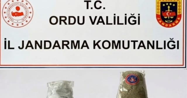 ORDU'DA BONZAİ VE SKUNT TEHDİTİ