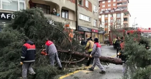 ORDU'DA FIRTINA ETKİSİNİ GÖSTERDİ!