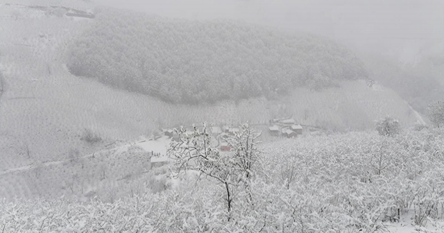 ORDU'DA FIRTINA, İLÇELERDE KAR DEVAM EDİYOR!