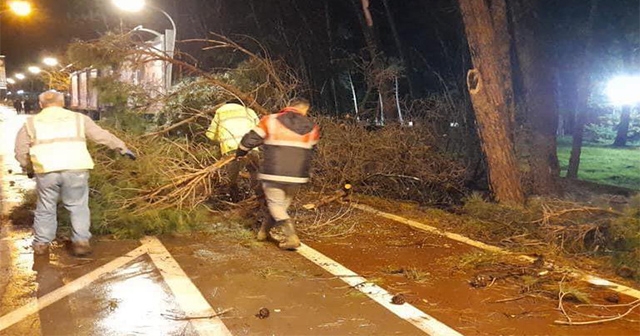 ORDU'DA FIRTINA VURDU