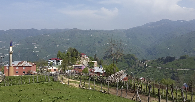 ORDU'DA VEFAT EDENLER