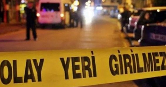 ORDU'DA YAŞLI KADINA KAMYONET ÇARPTI