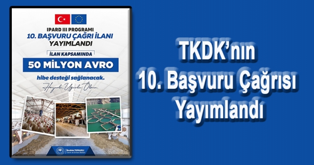 Ordu'da Yatırımcılar İçin Yeni Hibe Fırsatları Başladı