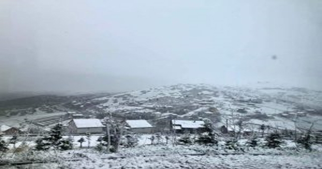 Ordu'nun Yüksek Kesimlerinde Kar Yağışı Etkili: Vatandaşlar Şaşkın