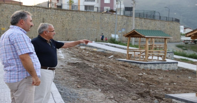 ŞAHiNCiLi´YE YENi YAŞAM ALANLARI