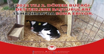 DESTEKLEME SONA ERECEK