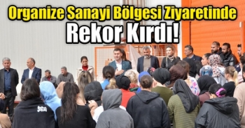 ULAŞ TEPE ORGANİZE SANAYİYİ SALLADI