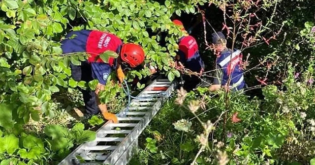 ÜNYE'DE MOTOSİKLET UÇURUMDAN YUVARLANDI