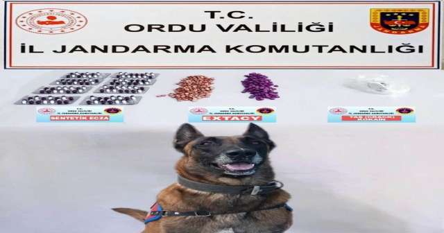 Uyuşturucu Ticaretine Darbe