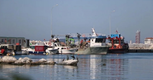 Yalovalı Balıkçılar Hamsiyle Kazandı