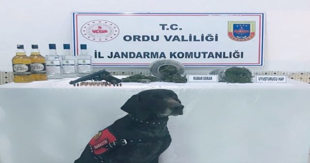 ZEHİR TACİRLERİ YAKALANDI
