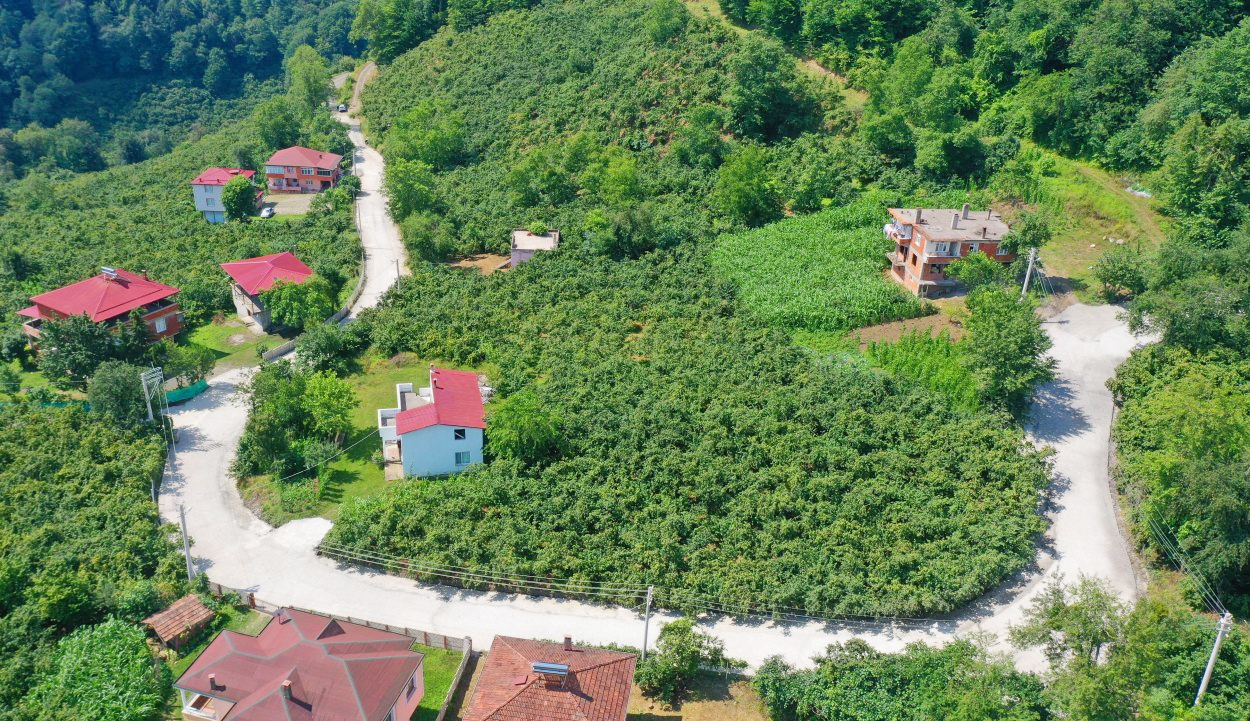 Çaybaşı'nda Yol Sorunu Tarih Oluyor