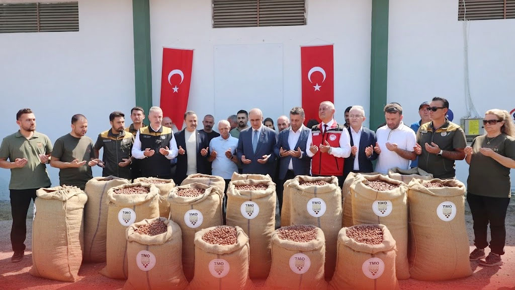 Vali Erol’dan TMO’ya Fındık Ziyareti