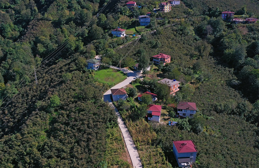 Çamaş Budak Mahallesi’nde Beton Yol Çalışmaları Sürüyor