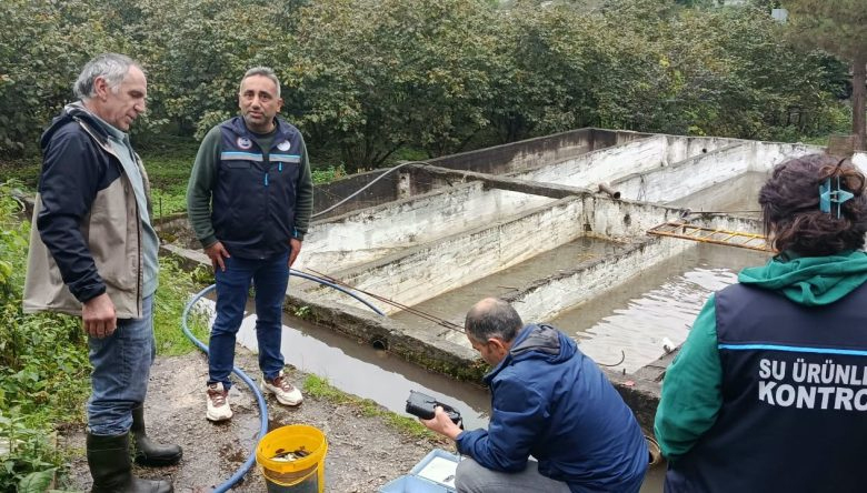Ordu’da 25 Alabalık Tesisi Denetim Altında