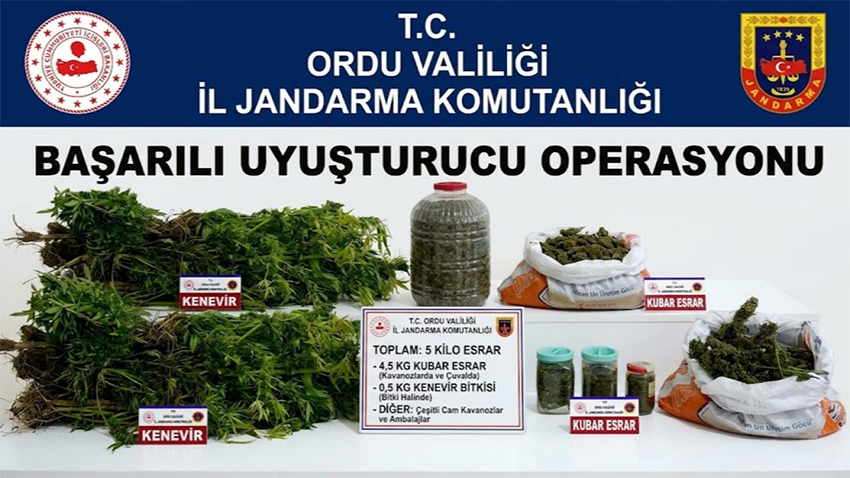 Ordu’da Uyuşturucu Operasyonu! 5 Kilo Esrar ve 22 Kök Kenevir Ele Geçirildi